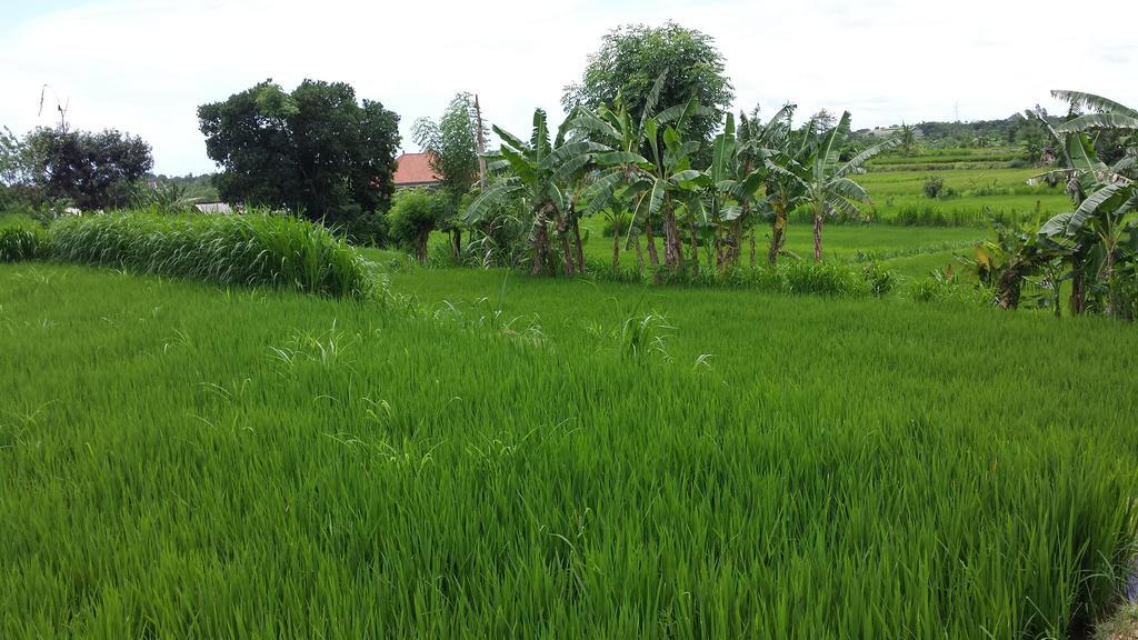 Kusamba Puri Pondok Dawa Villa מראה חיצוני תמונה